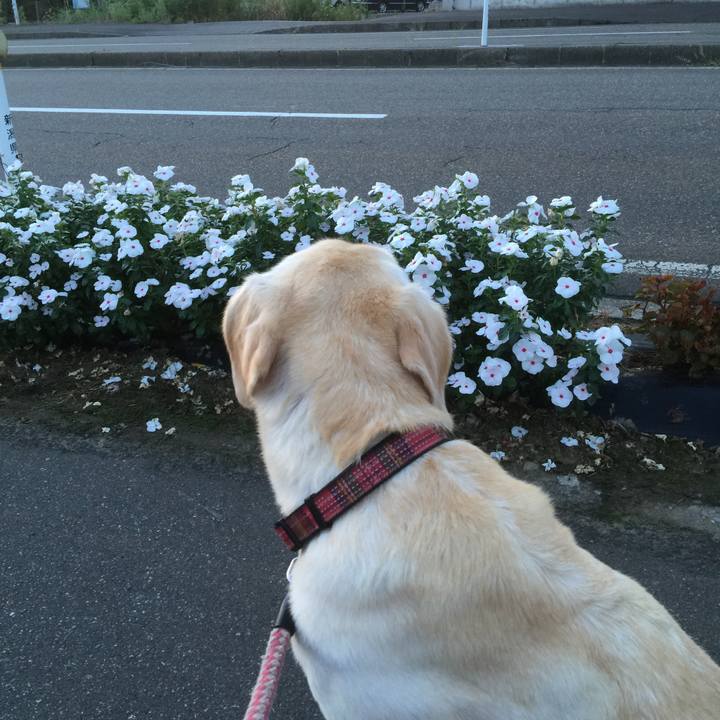 81fb66cb 9fd9 4622 ac41 e6fe36597cd9