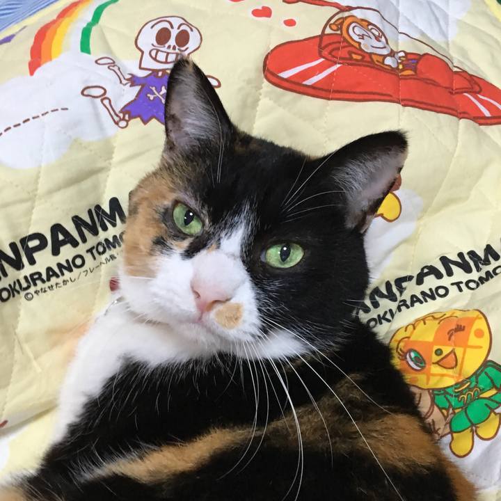 81fbc87c 6af2 4af5 87ea 8bd5da922fde