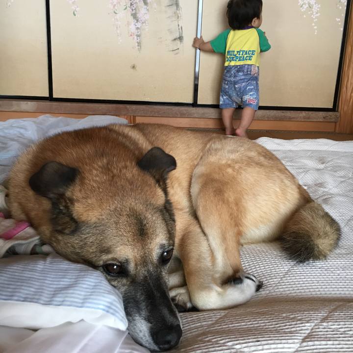 81fbffd9 9617 43ad b005 dfbc40830a7b