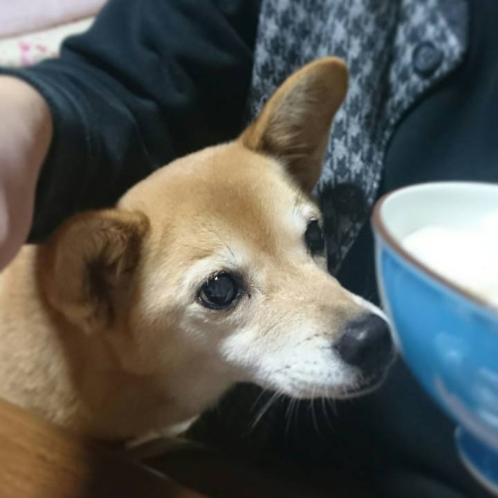 81fc468c 9783 492f b116 53f2cc3a5c4a