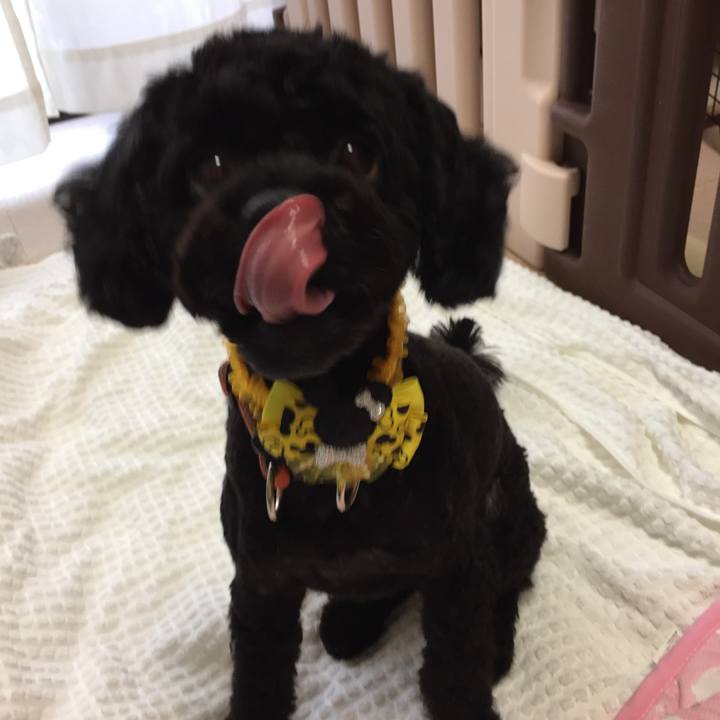 81fc7eda 6c27 4e52 a1a6 cdf9e88c3e25