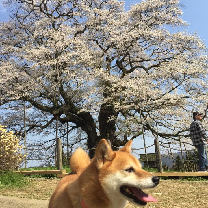 81fd0951 e82e 4a91 99c8 9f4e38e4e521