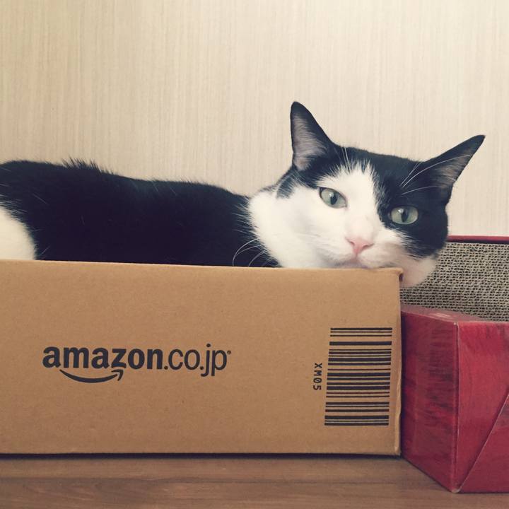 81fd0f47 5c02 47fd 809d 60f2686f7091