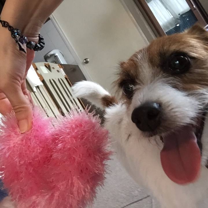 81fd2f62 f1e4 40b0 be7b 4c6688aae417