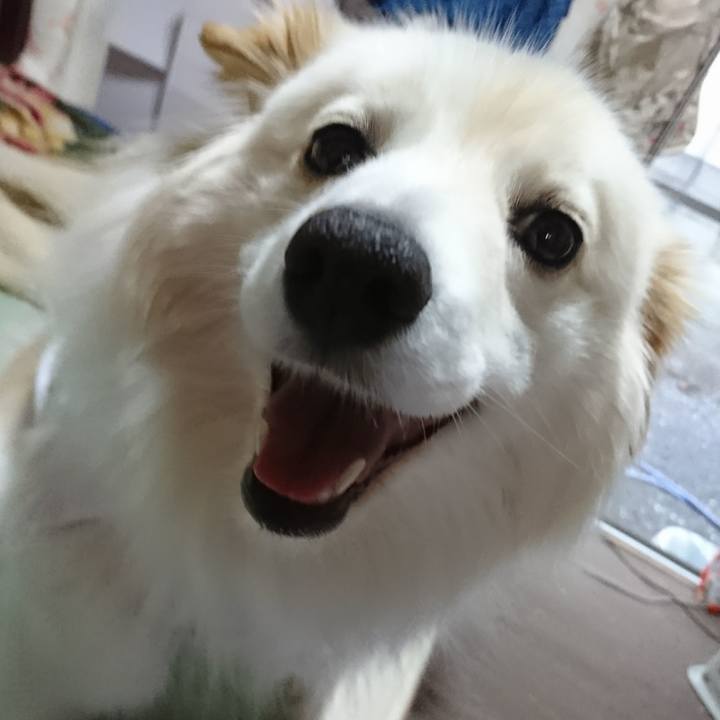 81fd3d26 7d75 483f 806b 6edcf623b3b4