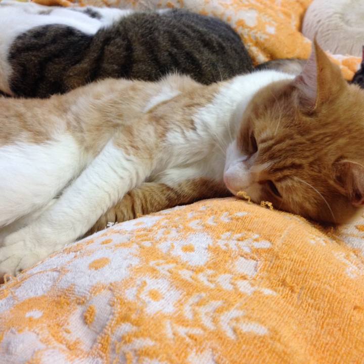 81fe9b23 3c13 48bb 8c2e 57b5ba6d3b81