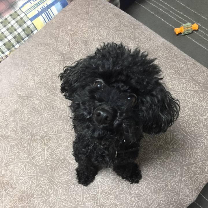 81ff4b38 f5a2 4baa 8304 687a9e4a4a3f