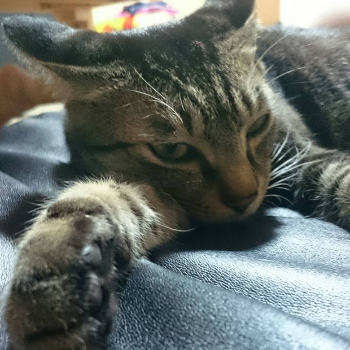 81ff7fa8 50c8 4cc9 885d 3346a340737d