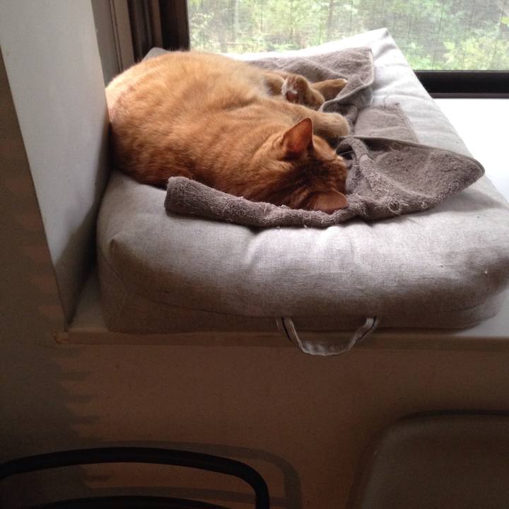 81ffaa35 d3d2 4d46 bb74 fe12c5a8d9e0