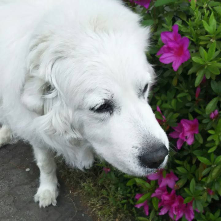 81ffc375 8735 436c 84b0 025377522f5a