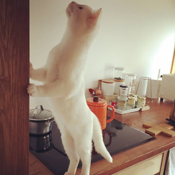 8200176d dbce 44d1 8f90 000b23267662