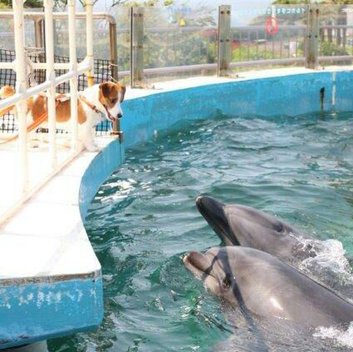 82006bdd 9c80 470e 9987 ea9c946053a4