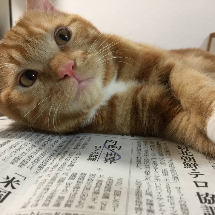 8200e3aa 6c24 48b3 93d2 972adf49ed9d