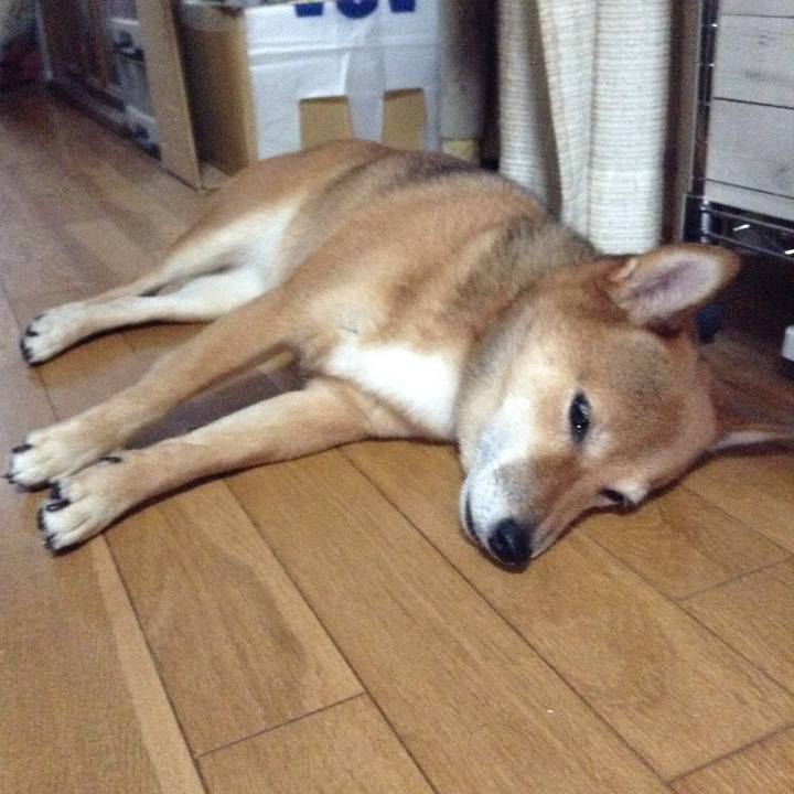 8200ee61 cdd9 48a5 8be6 aac57926f1ed