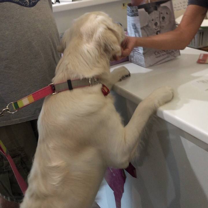 82014f6b 06ba 415d 9a60 b94ca1d74d61