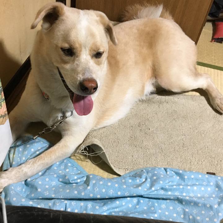 8202d555 c1a0 41d4 a855 62fc62d58166