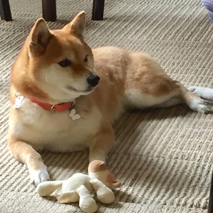 820307fb c684 419a 948b 7288c2b1e2b4