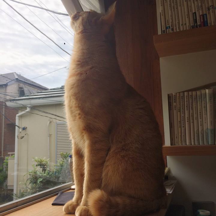 8203538a d9f6 4fa8 948d ba7e72cfbf5e