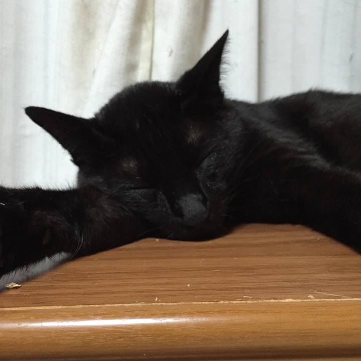 8203f762 ce38 4e49 825a 708014690378