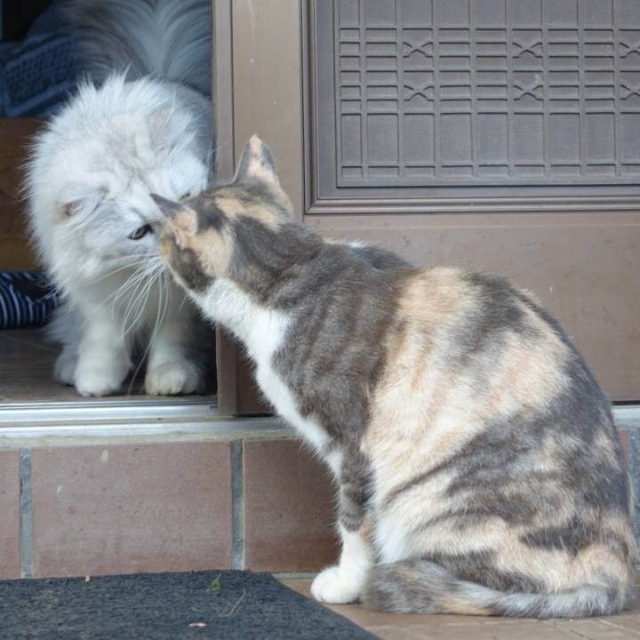 8204b810 8723 488d b9b7 559739d7c680