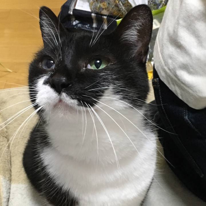 8204d22e 8695 436a bfa9 435cc6b1e43a