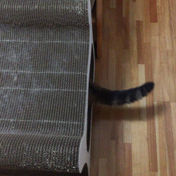 8204e9a1 c1c6 4fc9 affd f6fcaefccc34