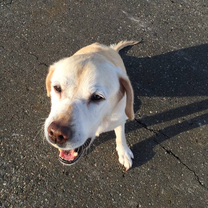 82057ed4 16b8 4f7b aa49 36cb23c82507