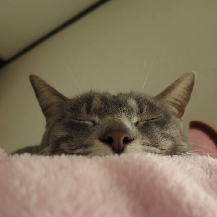 8205f2ff e11c 4f25 ae80 06b18c038565