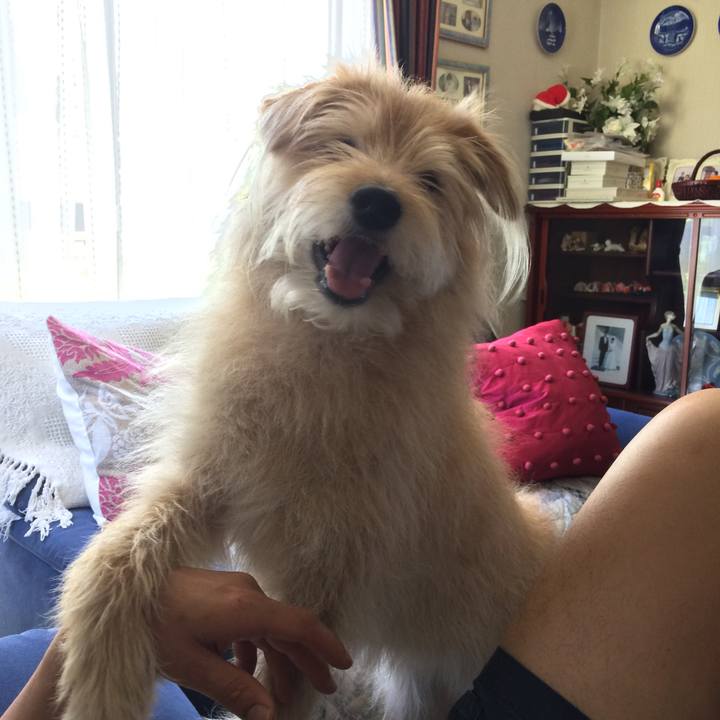 820613b7 176e 4cf3 a4c4 c32487be0dad