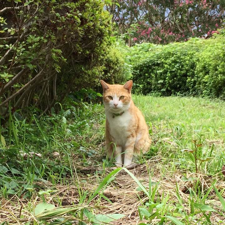 8206fe40 2cd0 4412 adf5 52d102c863ac