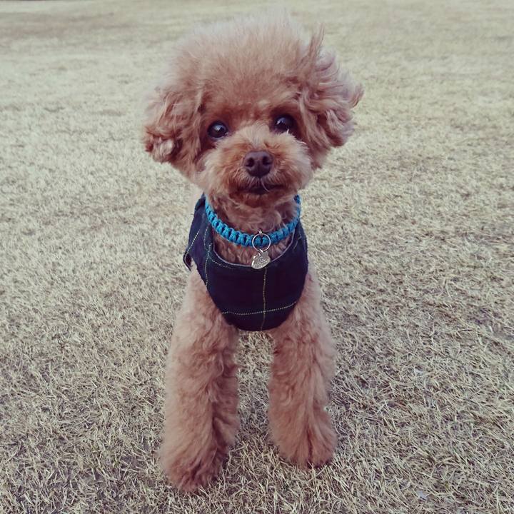 82077192 7b6c 48f7 91af 00bb5fa540fb