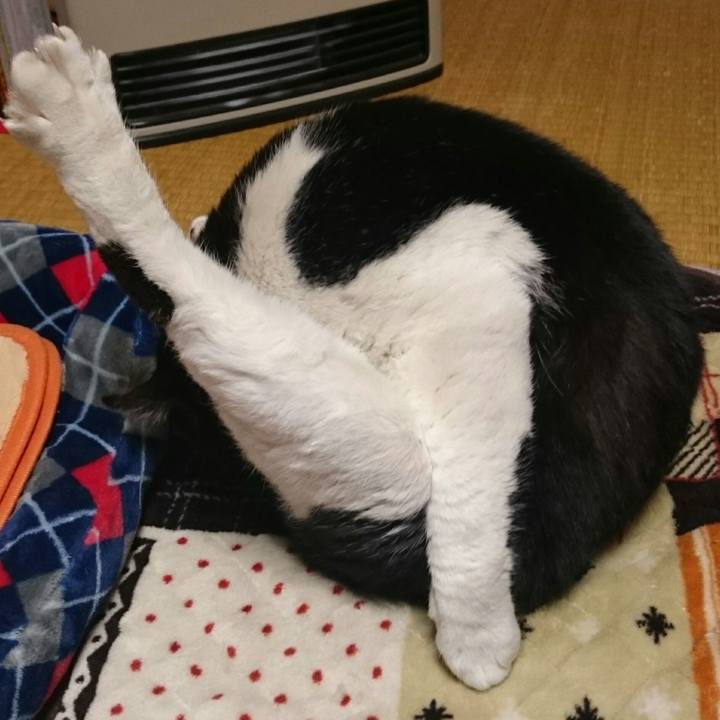 82085e28 6085 4c25 8710 aca115f36a80