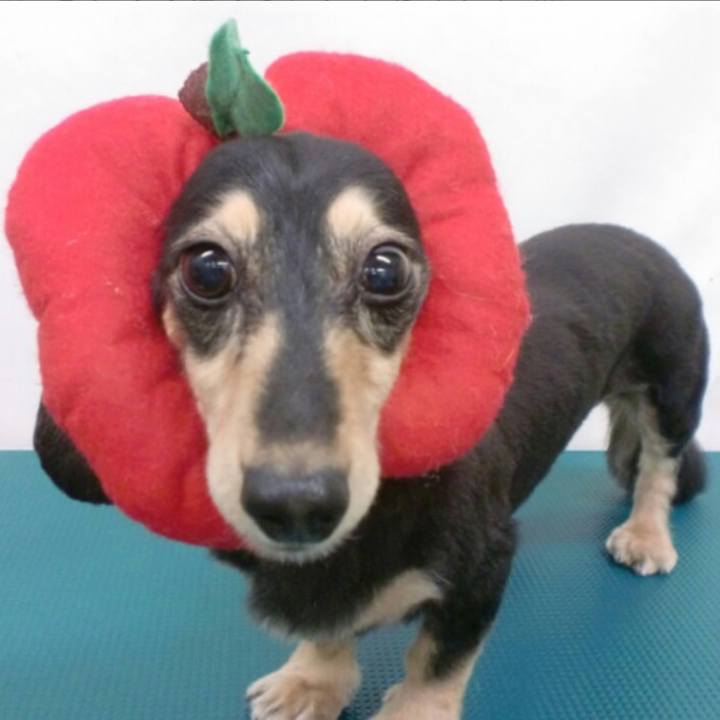 82093993 a1cd 48e9 a91f 2dc38df569b7