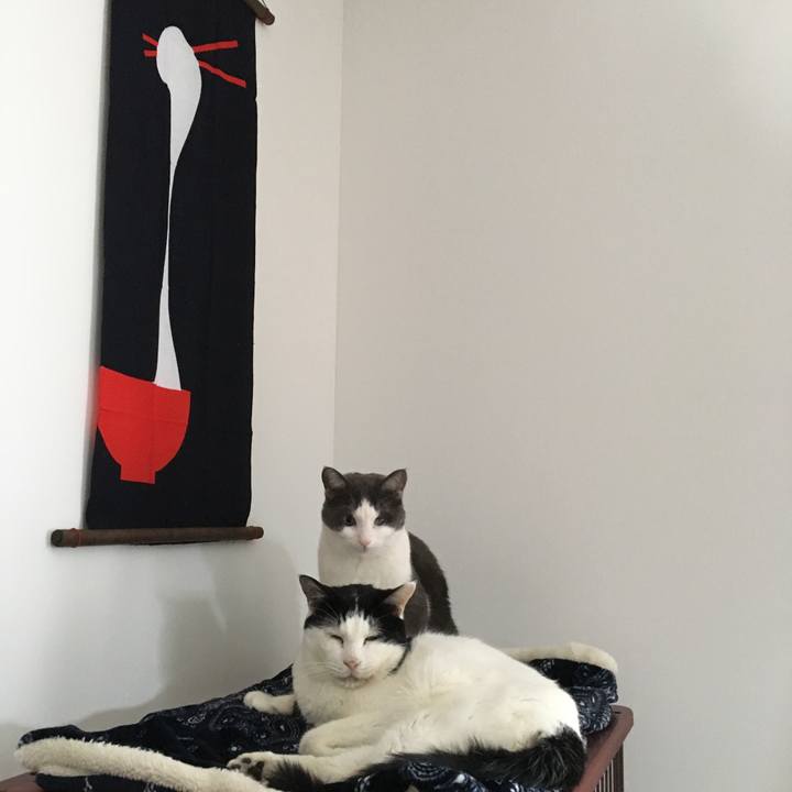 820978d4 bd63 4f38 b6a5 3203de8c9947