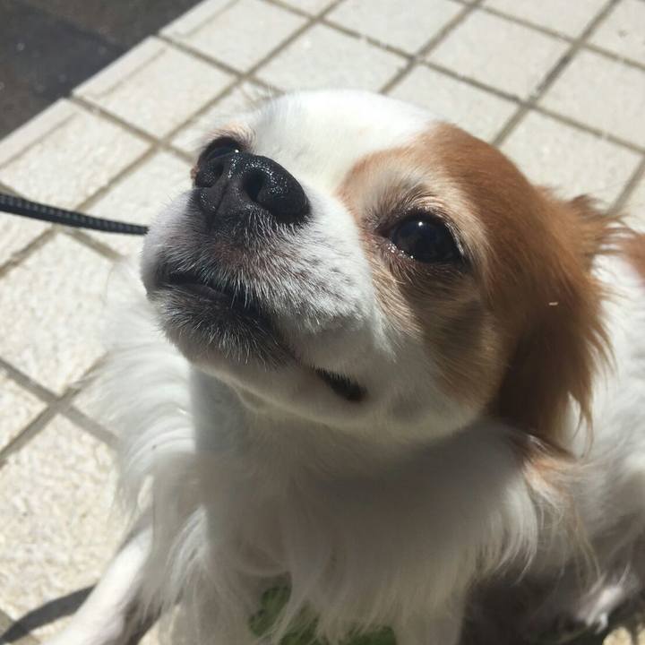 8209c909 4cc6 45af 96d0 6be6a2b5adb6