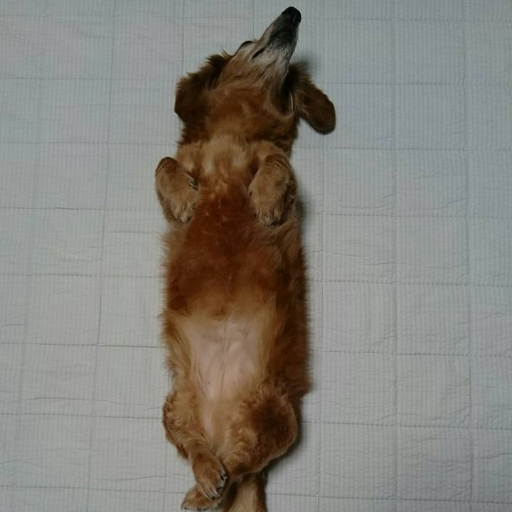 820a5ce8 794f 471c a930 922ebf438df6