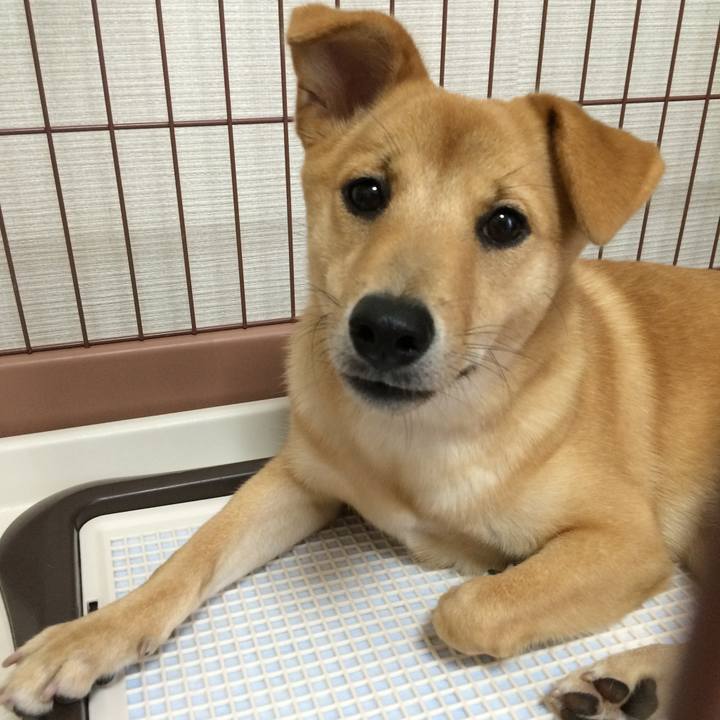 820b021a 418d 49b0 8db3 887ab8dd4be0