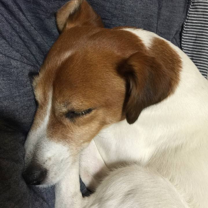 820b15fc 8810 487a 9514 a9ad08e2f1c2