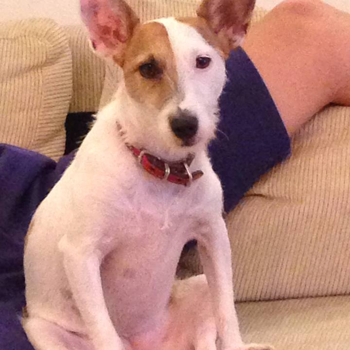 820b8506 92f1 4720 ba72 40ae74ba3c08