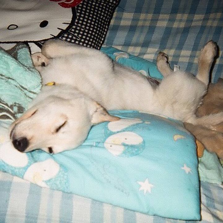 820d1b8b c73c 4946 8b84 a433d40585e2