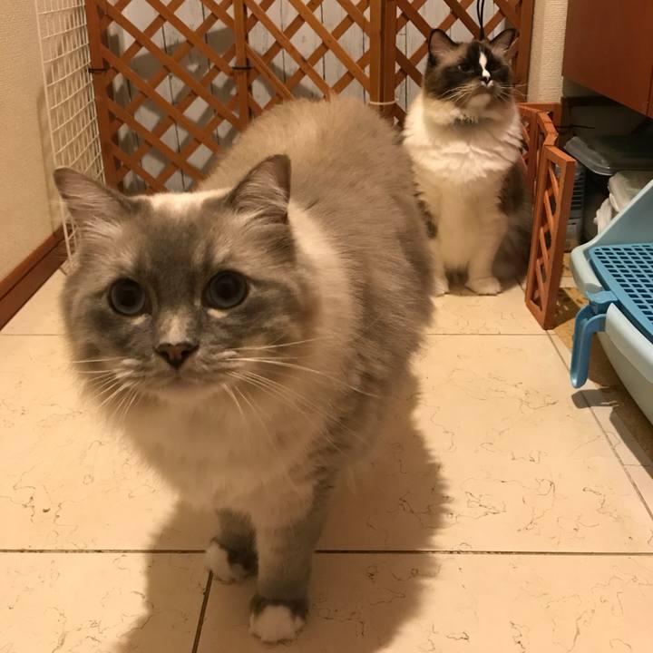 820e9843 cb8c 4d33 be34 16acc091ed9a