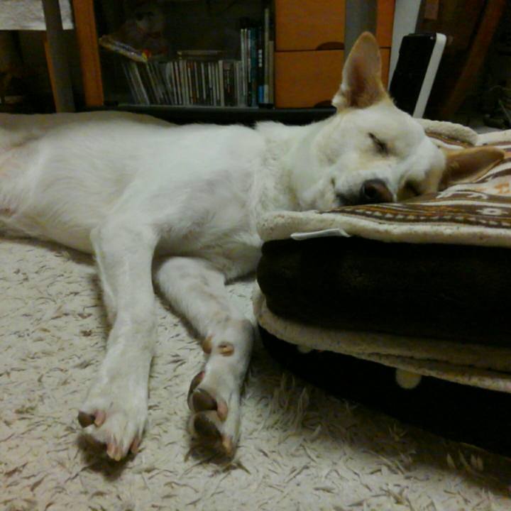 820f3b76 486b 4b7a 95ad ea0ccc380b4d