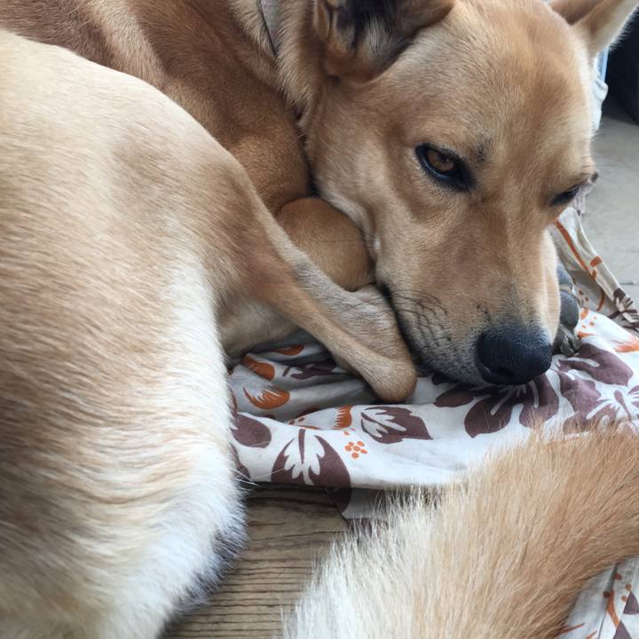 820f5cab 6456 4602 be25 6802d0033618