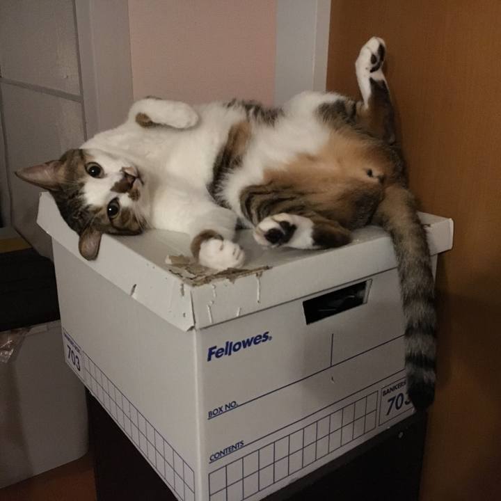 8211e29d 48ec 46fb 8444 0cd00f7daab6