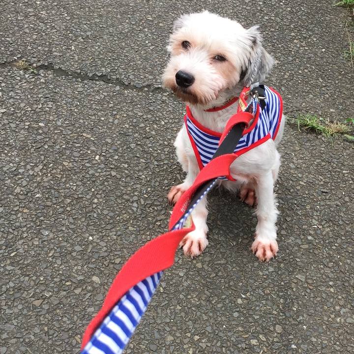 8211e364 e28f 4e3b a6bc 5da523681202