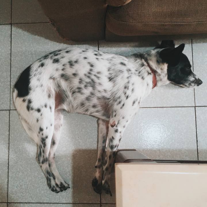 82120879 ea42 46b1 9275 45d85f2306e1