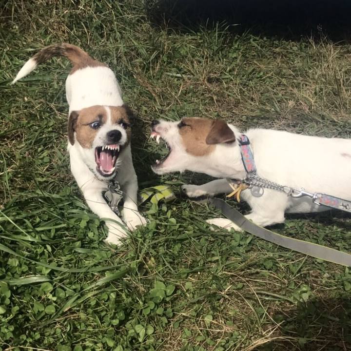 8212e68c 0699 4f55 b2ee 80303f5717e9