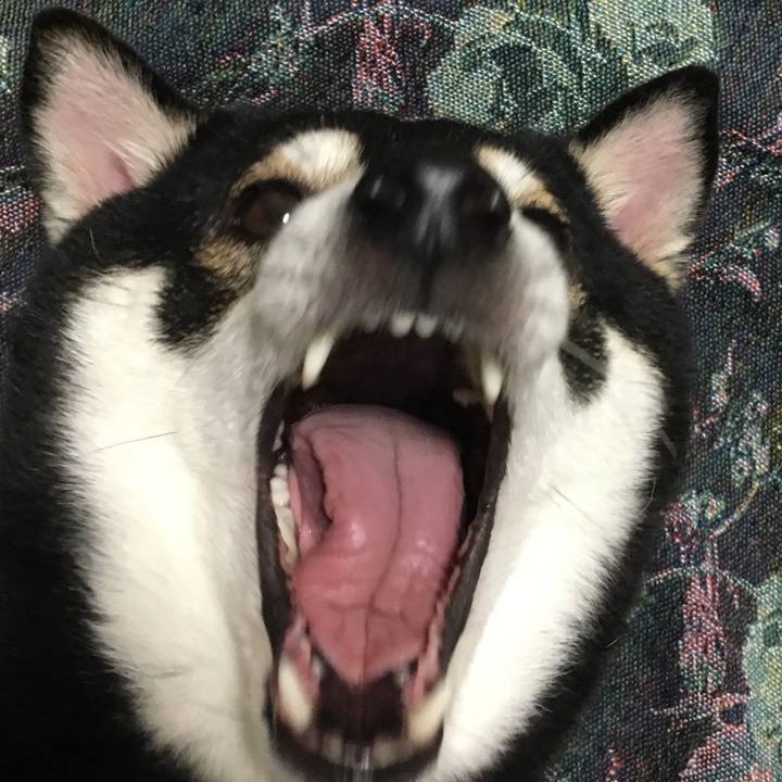 82142041 a5d4 4b58 8b97 68efe41fd528