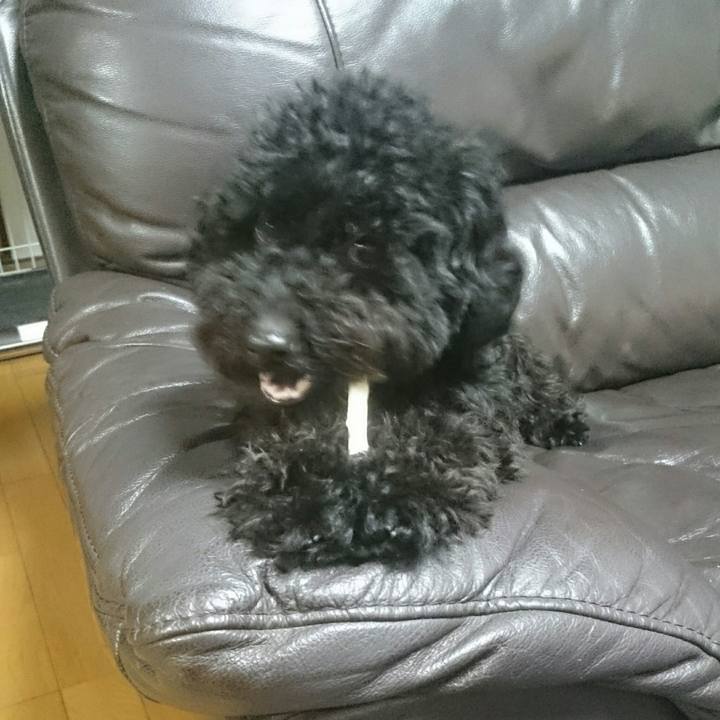 82143807 5a78 4395 9931 34c6d36f45d5