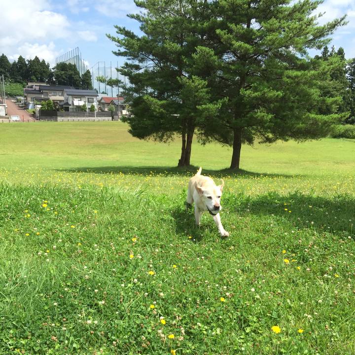 82146bfd b94f 47a6 96e8 3e3c37b753a0